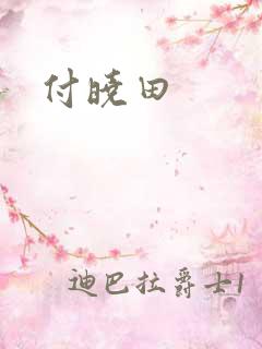 付晓田