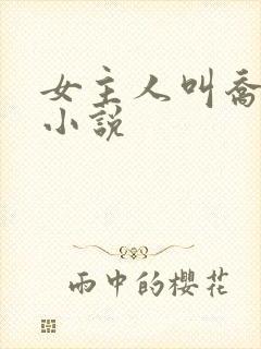 女主人叫乔念的小说