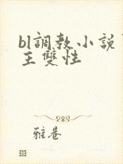bl调教小说男主双性