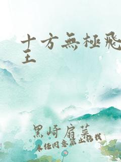 十方无极飞天神王