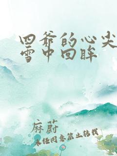 四爷的心尖宠妃雪中回眸