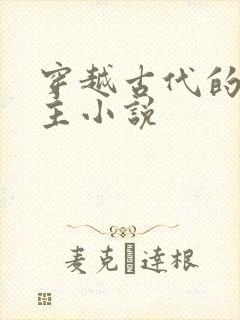 穿越古代的双男主小说