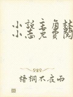 小说主角林姨,小志免费阅读