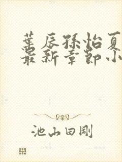 叶辰孙怡夏若雪最新章节小说