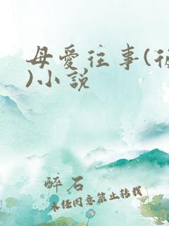 母爱往事(后续)小说