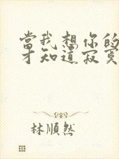 当我想你的时候才知道寂寞是什么歌