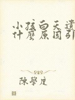 小孩白天遗尿是什么原因引起的