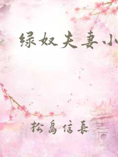 绿奴夫妻小说