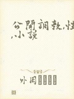 公开调教,性虐,小说