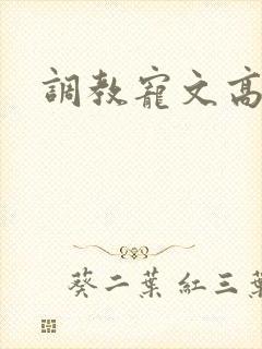 调教宠文高h