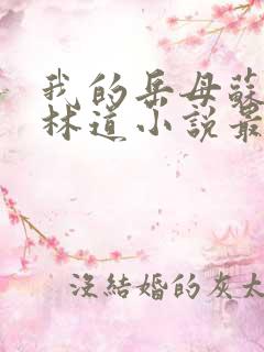 我的岳母苏沛真林道小说最新章节