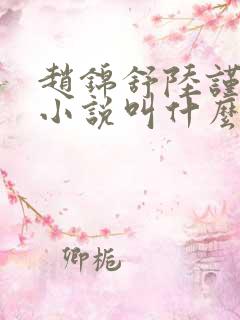 赵锦舒陆谨台的小说叫什么