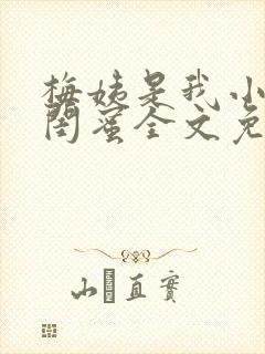 梅姨是我小妈的闺蜜全文免费阅读