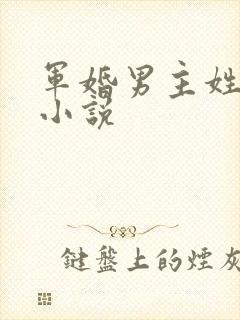 军婚男主姓顾的小说