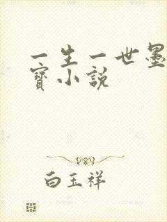 一生一世墨宝非宝小说