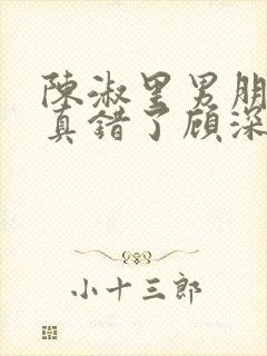 陈淑里男朋友我真错了顾深小说