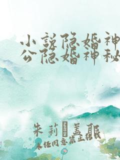 小说隐婚神秘老公隐婚神秘老公