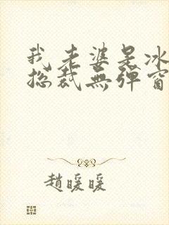 我老婆是冰山女总裁无弹窗免费