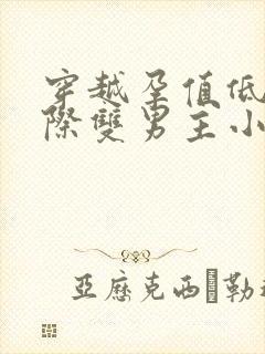 穿越孕值低的星际双男主小说