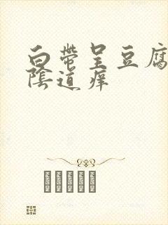 白带呈豆腐渣状阴道痒