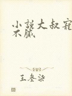 小说大叔宠妻甜不腻