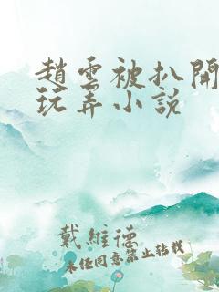 赵云被扒开双腿玩弄小说