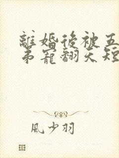 离婚后被五个弟弟宠翻天短剧免费观第15集