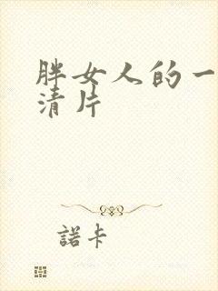 胖女人的一级高清片