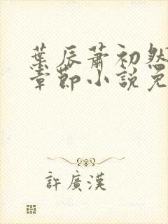 叶辰萧初然最新章节小说免费阅读