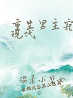 重生男主宠妻文现代