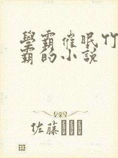 学霸催眠竹马校霸的小说