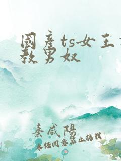 国产ts女王调教男奴