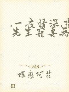 ,一夜情深,霍先生宠妻无度