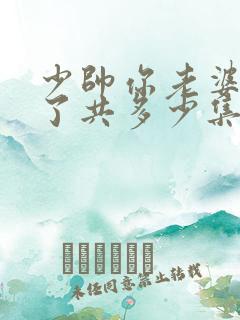 少帅你老婆又跑了共多少集