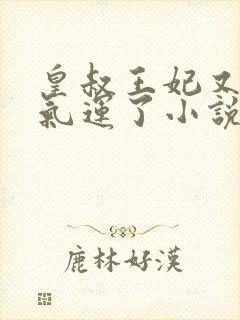 皇叔王妃又薅你气运了小说免费