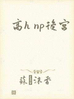 高h np后宫