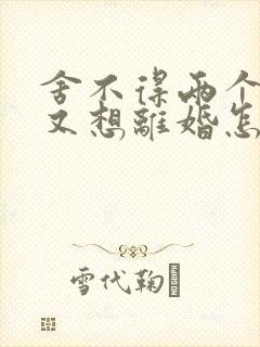 舍不得两个孩子又想离婚怎么办