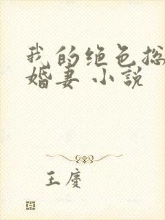 我的绝色总裁未婚妻 小说