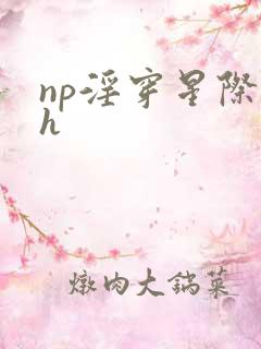 np淫穿星际高h