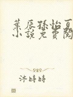 叶辰孙怡夏若雪小说免费阅读全部章节