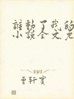 谁动了我的老婆小说全文免费阅读一