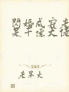 闪婚成宠老公竟是千亿大佬完整版