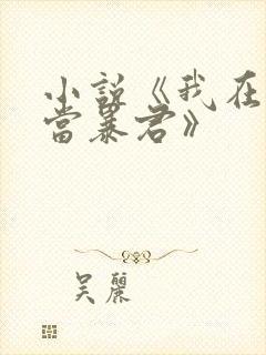 小说《我在大明当暴君》