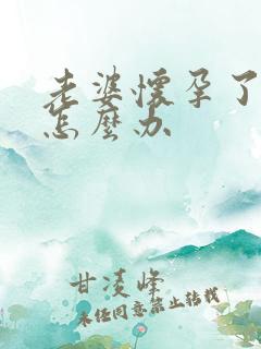 老婆怀孕了老公怎么办