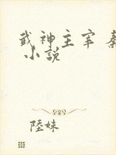 武神主宰 秦尘 小说