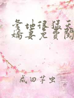 爹地很猛天价小娇妻免费阅读全文