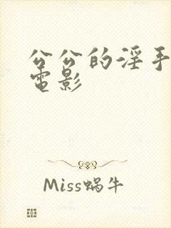 公公的淫手日本电影