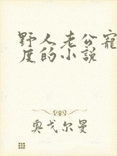 野人老公宠妻无度的小说