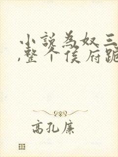 小说为奴三年后,整个侯府跪求我原谅