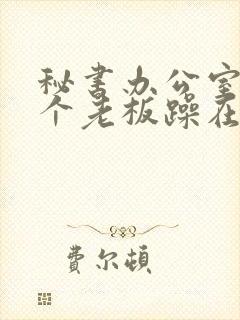 秘书办公室被两个老板躁在线观看